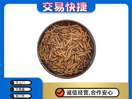 黄山徽州区回收散虫草