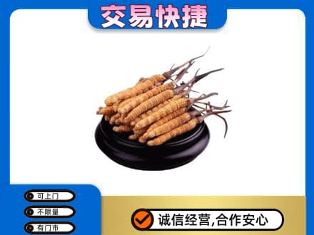 黄山徽州区回收冬虫夏草多少钱每克